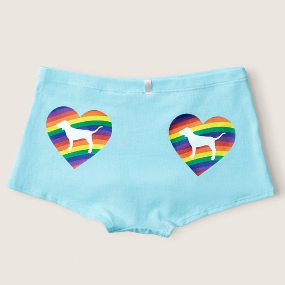 Victoria’s Secret Pink Blue‎ Breeze With Pride Graphic Cotton Shortie Panty